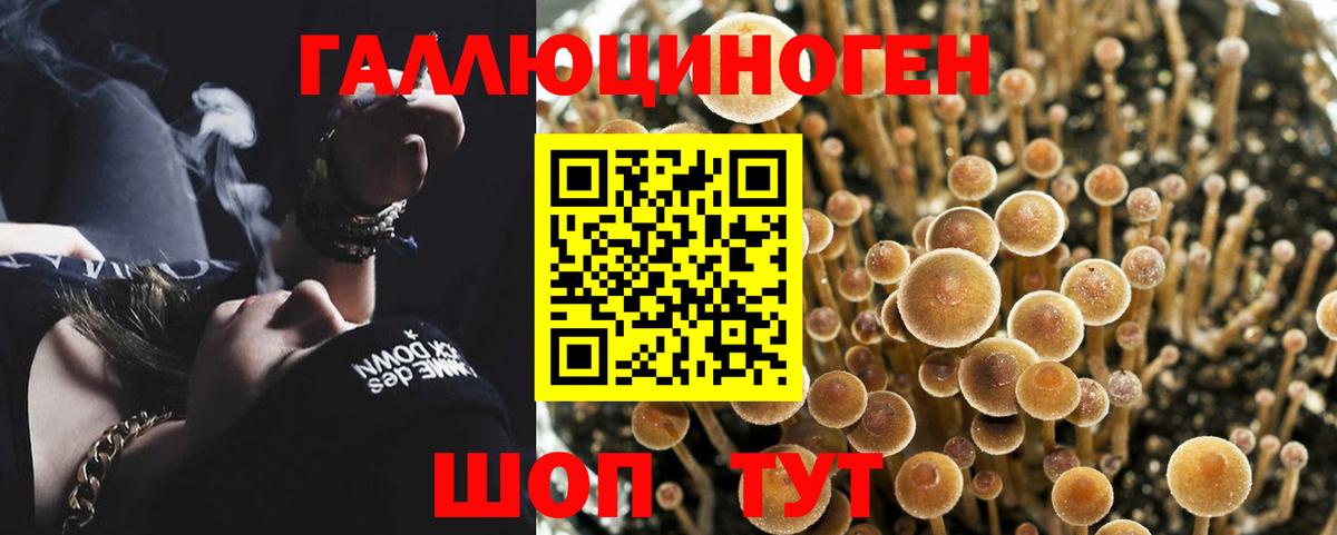 Псилоцибиновые грибы прущие грибы  Вход с VPN  Псилоцибиновые грибы MAGIC MUSHROOMS  Александров 